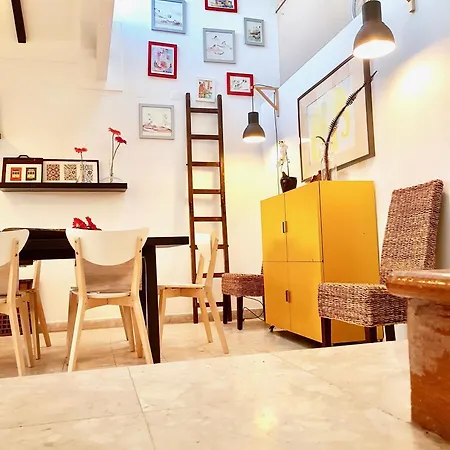 公寓 Fabulous Duplex In Belem With River View